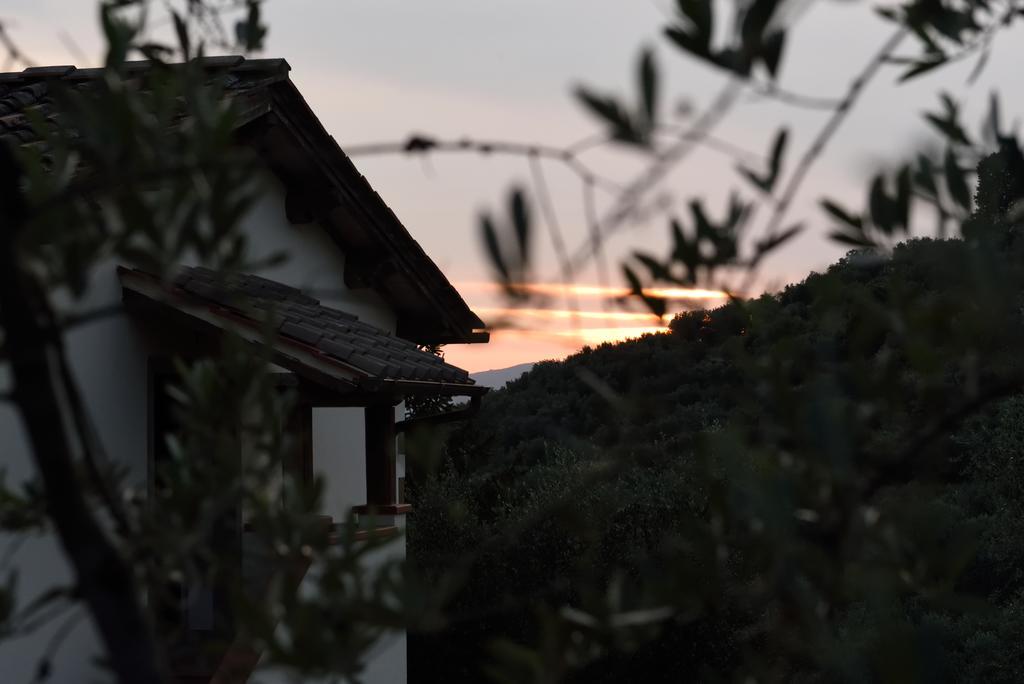 Agriturismo La Casuccia Castelfranco di Sopra Kültér fotó