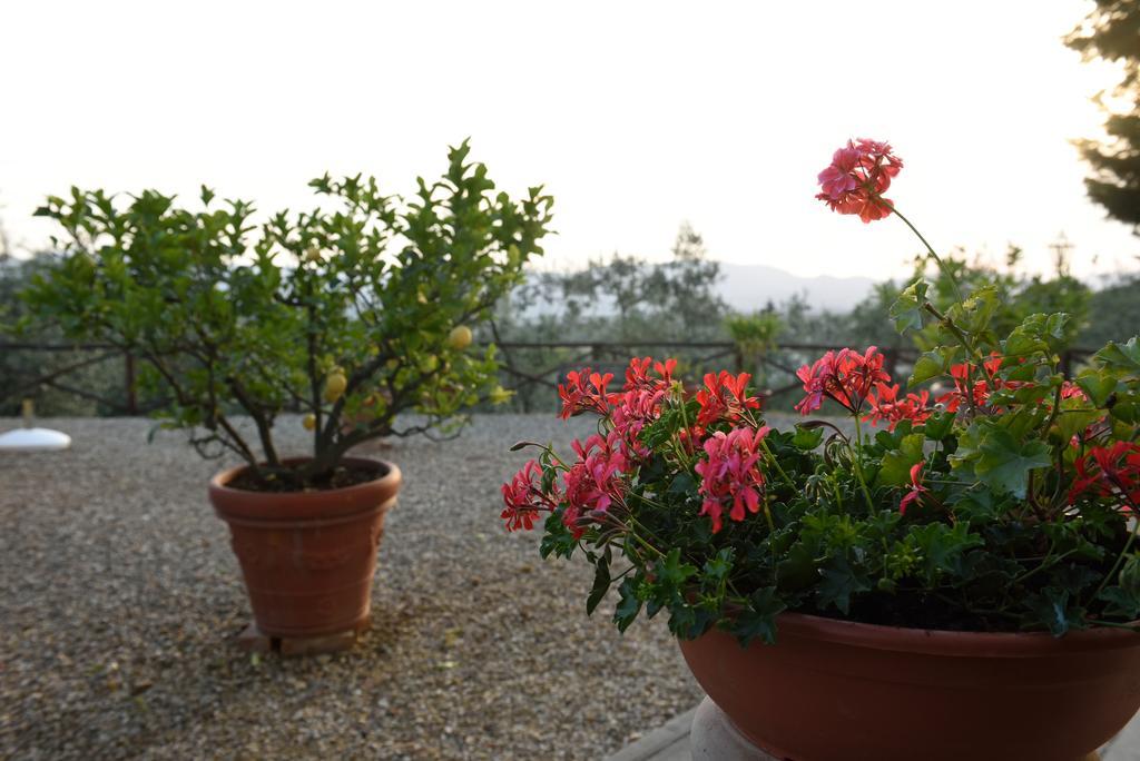 Agriturismo La Casuccia Castelfranco di Sopra Kültér fotó