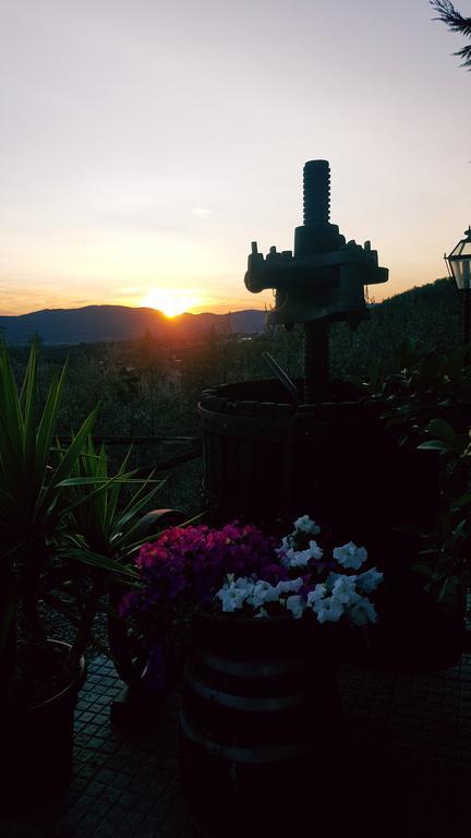Agriturismo La Casuccia Castelfranco di Sopra Kültér fotó